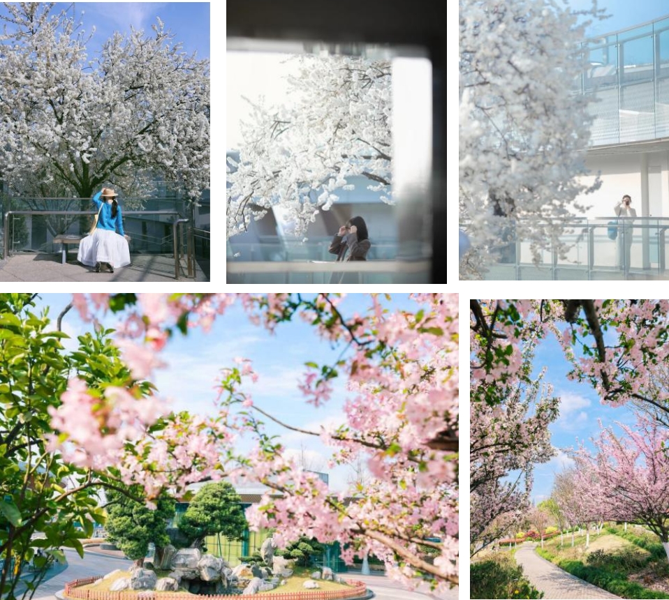 微信截图_20260403112803 微信截图_20260403112803